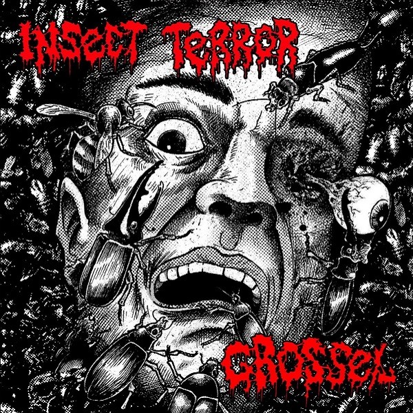 Insect Terror vs. Grossel - single sided split LP