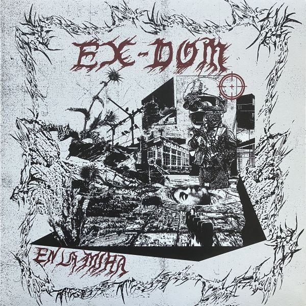 Ex-Dom – en la mira - color MLP
